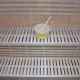 Klassische finnische Sauna Moderne 5 Plätze